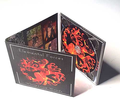 6-Panel-Digipak