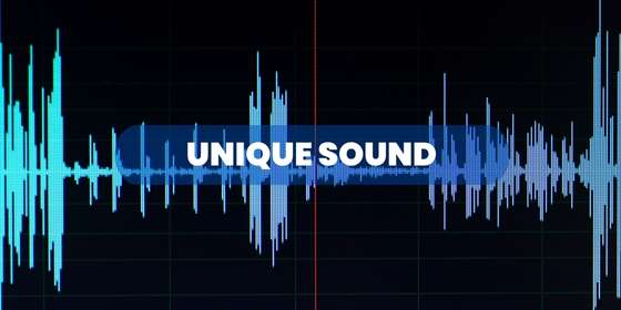 Unique Sound