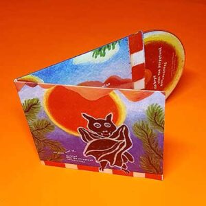 Digisleeve Ecopak Pocket